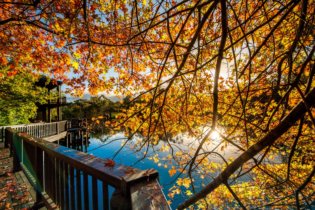15 Adelaide Hills wineries you must visit - Australian Traveller Magazine