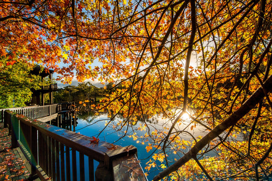 15 Adelaide Hills wineries you must visit - Australian Traveller Magazine